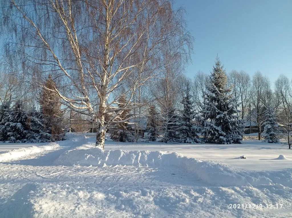 У Александра