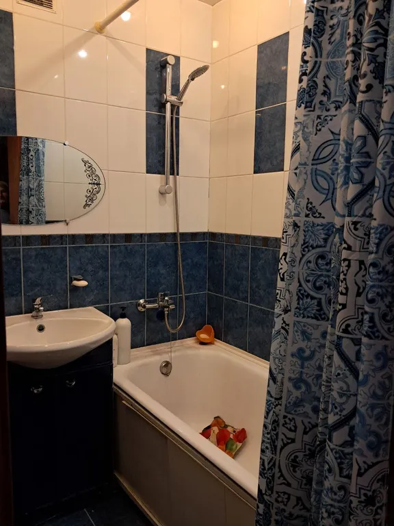 Петербургская квартира в центре города