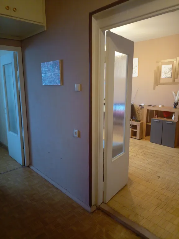 Квартира в центре Древлянки