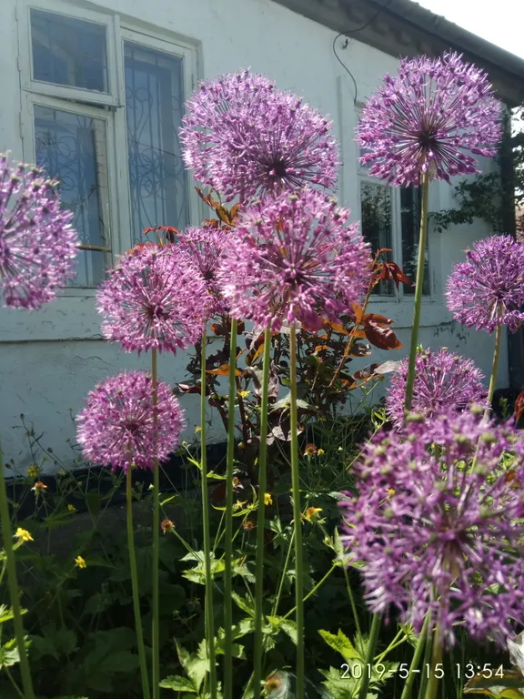 Уютная комната в частном доме