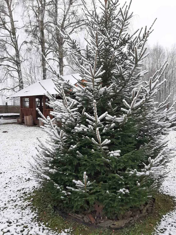 Агроусадьба "У Лешего"