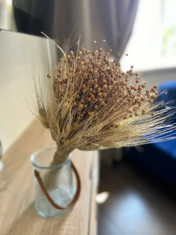 Светлая квартира у леса рядом с Волгой