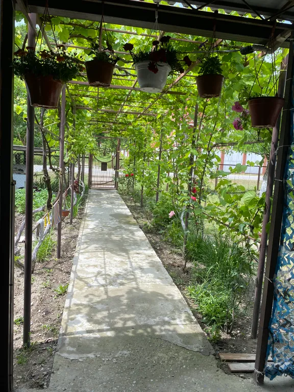 Коттедж Гостевой дом Лавр — Прасковеевка