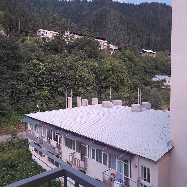 Apartment in Bordjomi