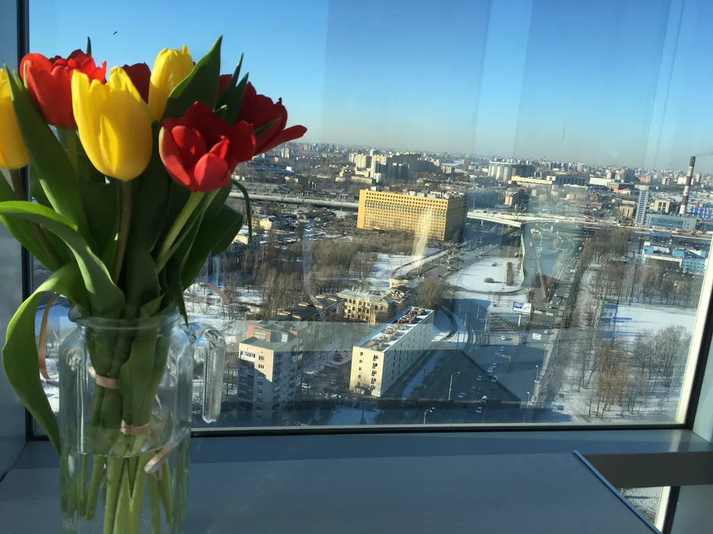 Квартира Квартира С высоты птичьего полёта — Санкт-Петербург