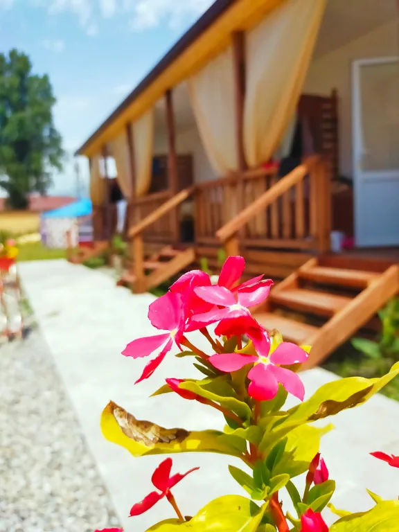 Квартира Дикая Гавань — аренда посуточно в Алахадзы