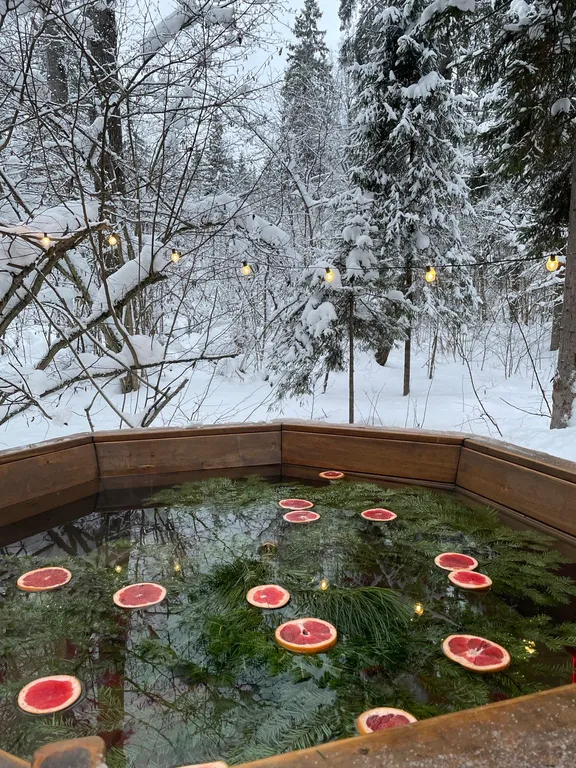 Уютный дом в тишине хвойного леса