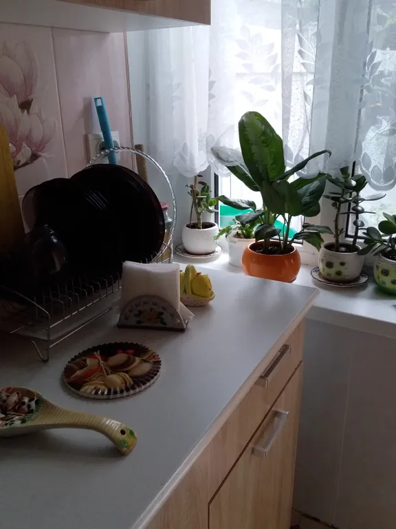 Очень хорошая квартира в центре города