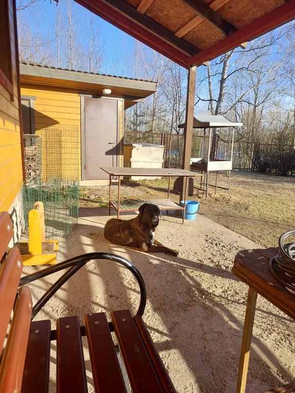 Дом-студия у Монрепо