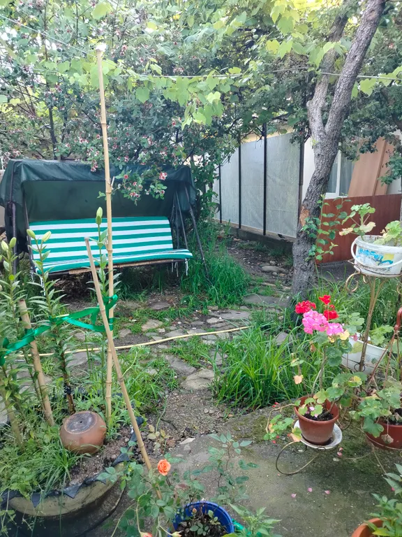 Коттедж Отдельный дом рядом с морем — Сочи