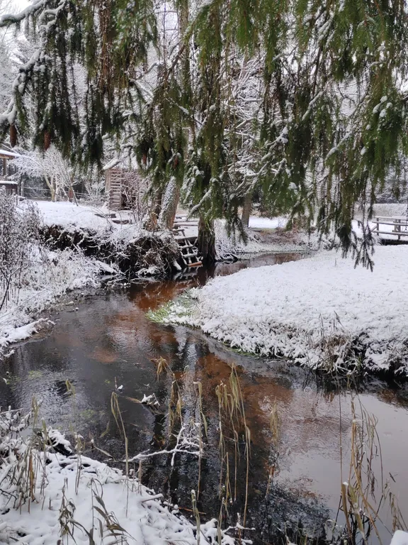 Архаичная Изба XIX века