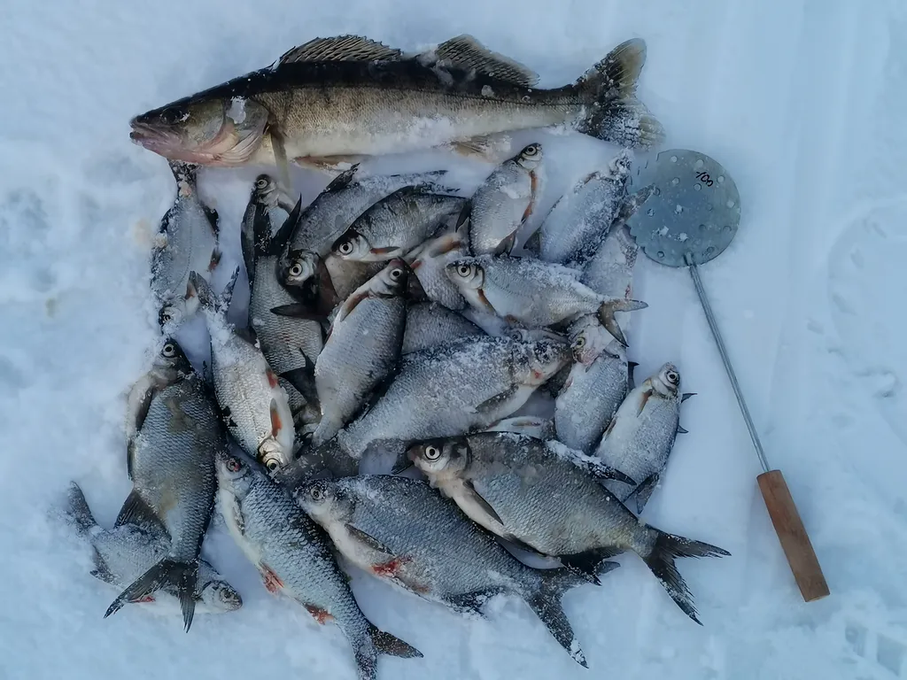 Коттедж Уютный домик на озере Волго на Селигере в сосновом бору — Турбаза Чайка