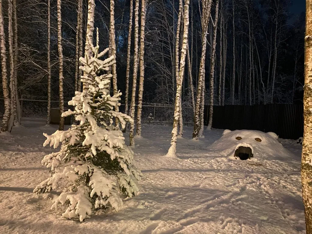 Дом в стиле A-frame