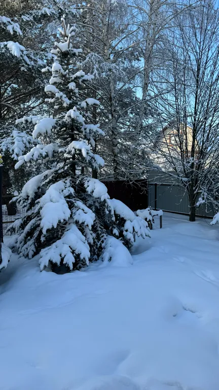 Уютный деревенский дом