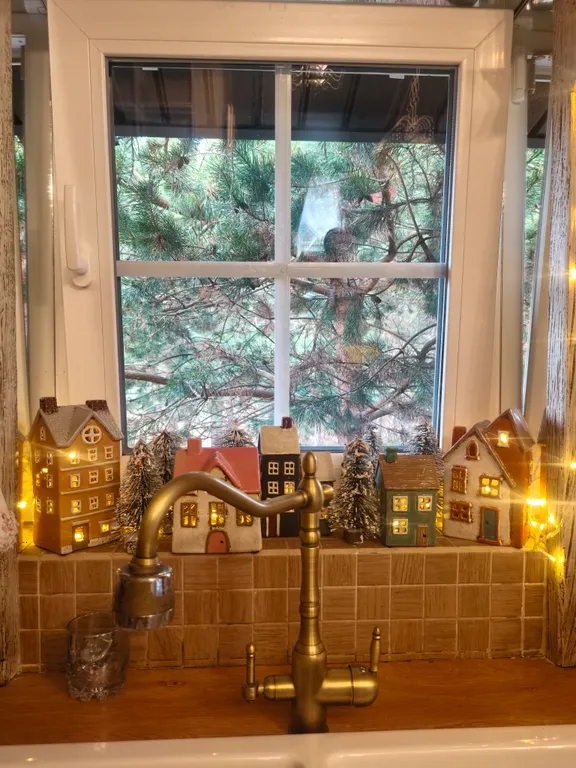 Гостевой фотодом Зазеркалье