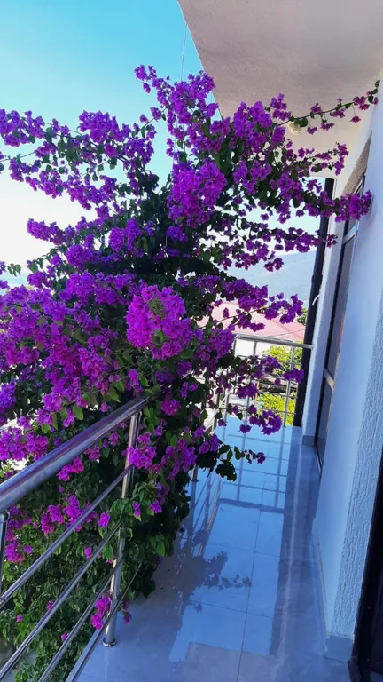 Квартира Комната — Гагра