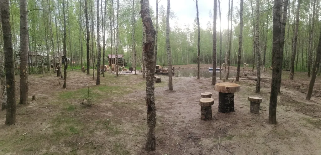 Домик в лесу с баней