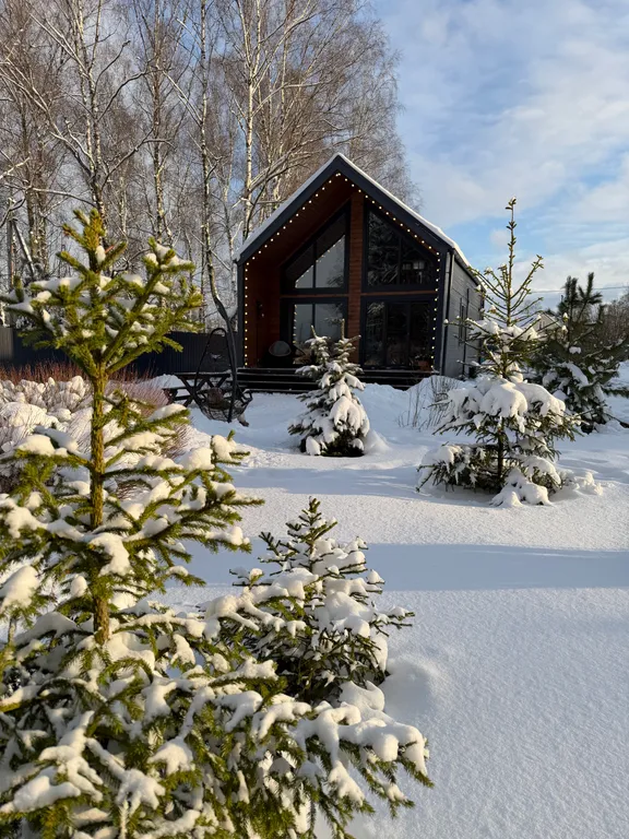 Дом у леса с банным чаном и панорамными окнами