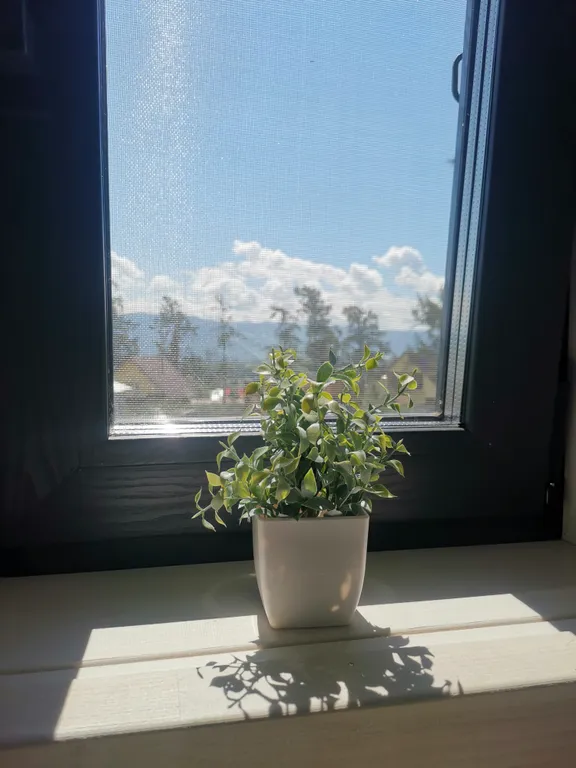 Дом с видом на лес