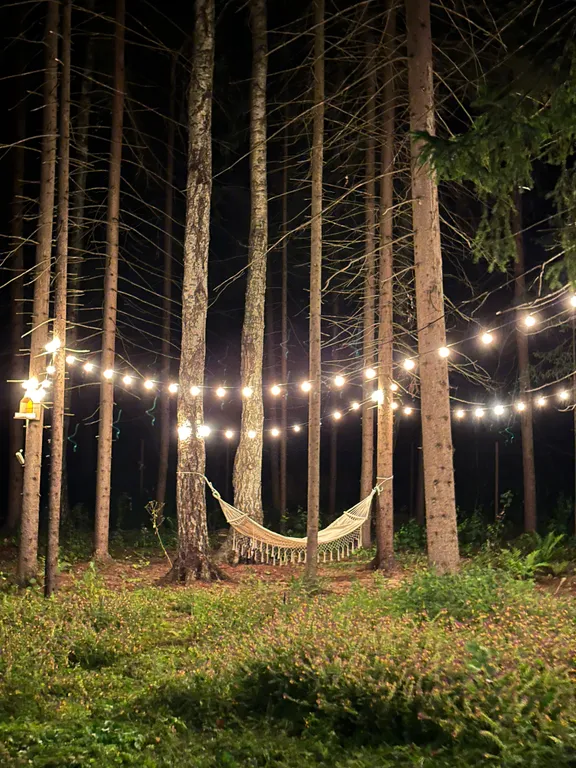 Лесной домик