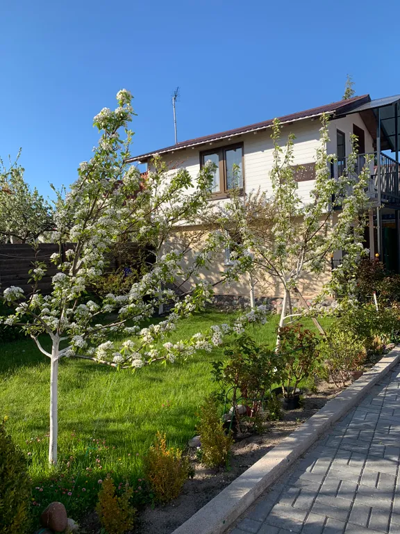 Маленький домик, Куршская коса, домик в шаге от моря