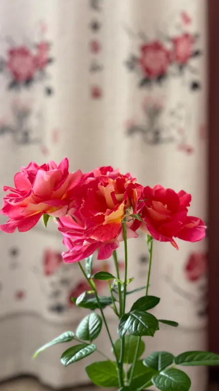 Апартамент с нотками Востока