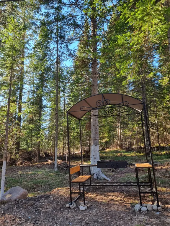 Дом на Алтае