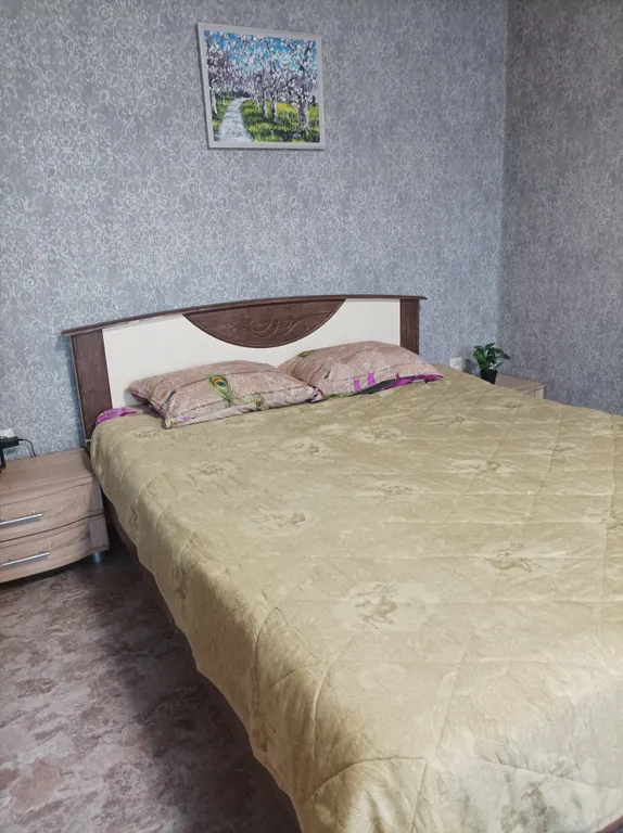 Уютная чистая квартира Центр города — аренда посуточно в Челябинск