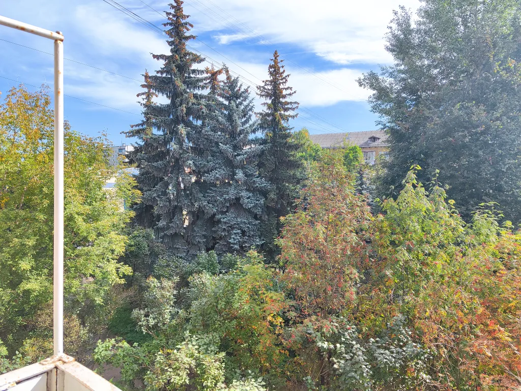 Студия на набережной