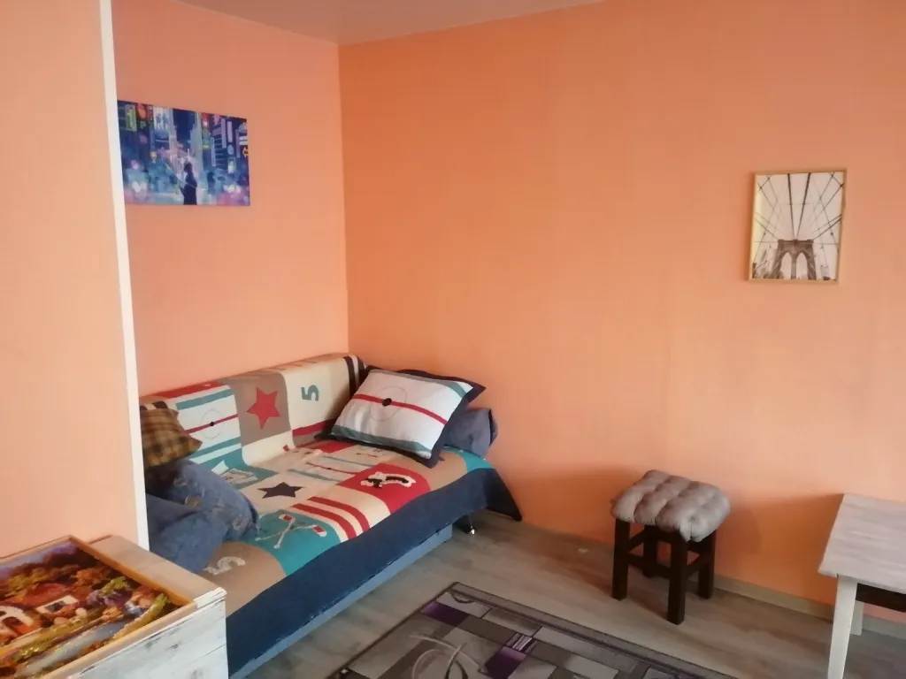 Уютная однокомнатная квартира в центре города — аренда посуточно в Апатиты