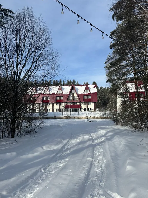 Апартаменты Каменный цветок от собственника