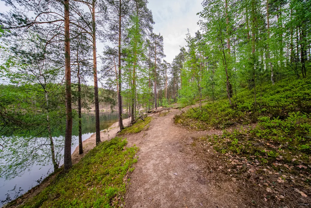Загородный клуб Радужный лес