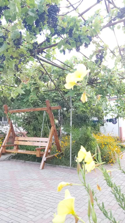 3-комнатный Дом