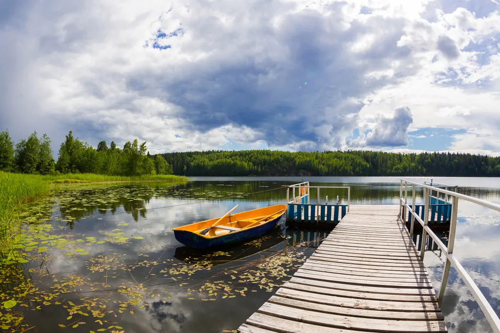Коттедж на озере Утиное