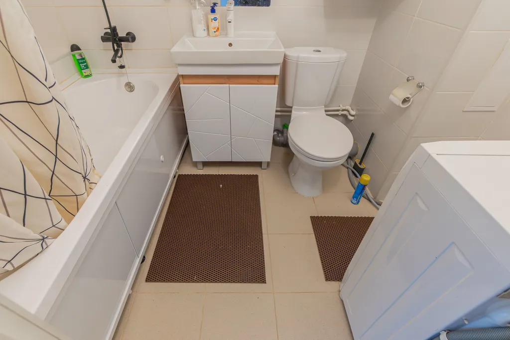 В лесной тиши