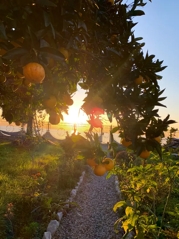 Апартаменты с видом и выходом на море