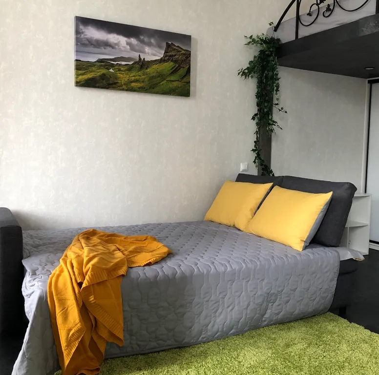 Стильный Лофт с качелями рядом с аэропортом Шереметьево