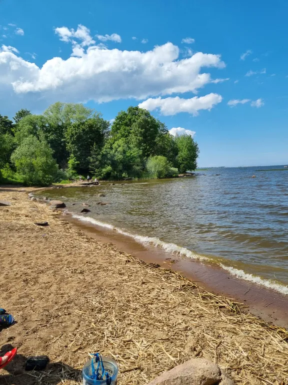 Уютная дизайнерская квартира на берегу Финского залива