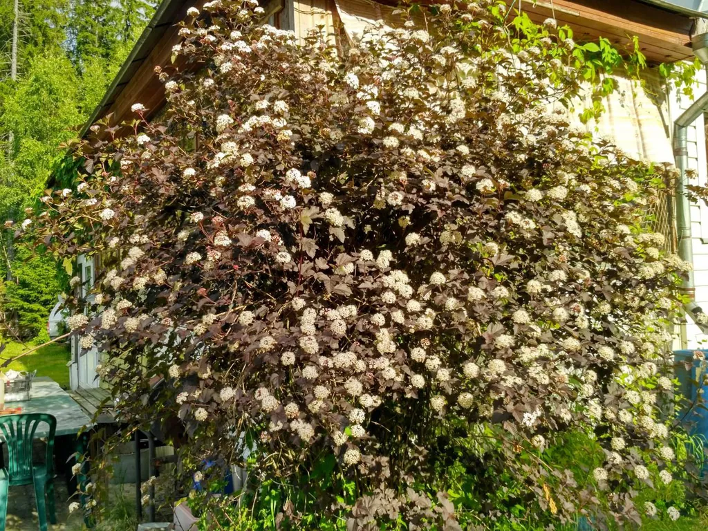 Гостевой дом Вуокса-хилл