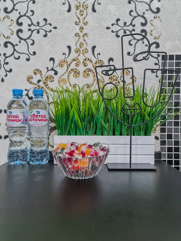 Видовая студия