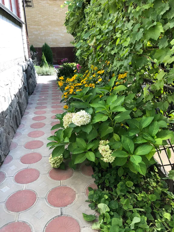 Уютный дом в центре города