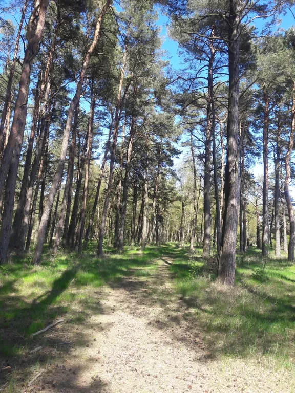 Дом на море