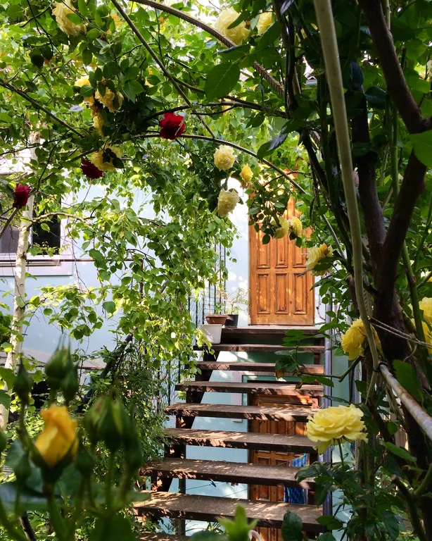 Квартира Квартира Стандарт с окнами во двор — Судак