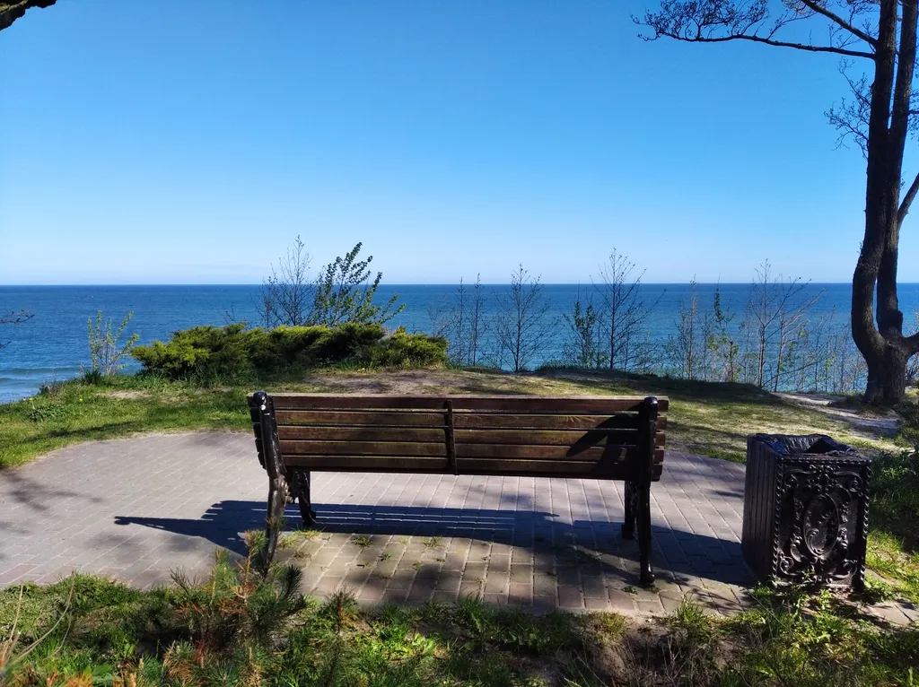 Первая линия у моря в сосновом бору