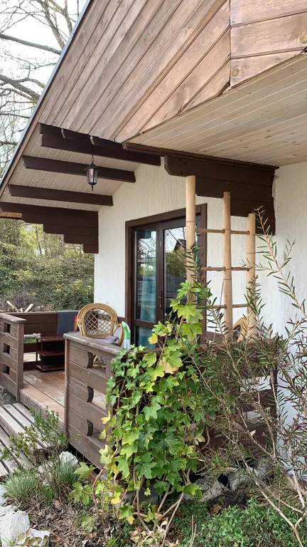 Дом в тени многолетнего дуба