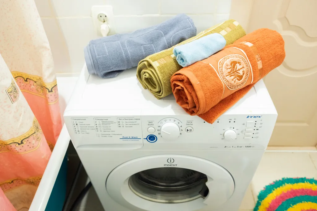 В гостях у Гуся