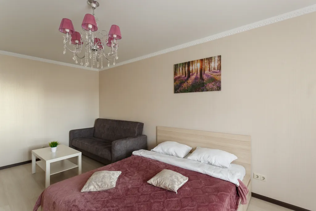 Апартамент для большой компании