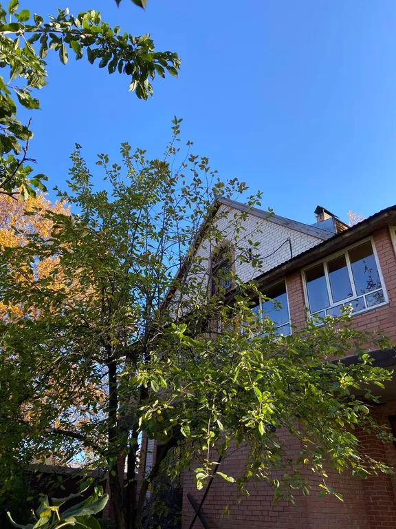 Трёхэтажный коттедж с сауной и бассейном в тихом заливе волги