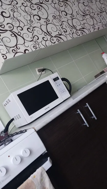 Двухкомнатная квартира в центре города