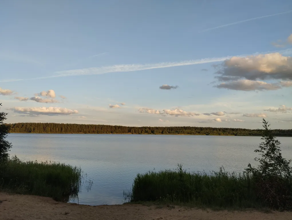 Дом в сосновом бору на озере